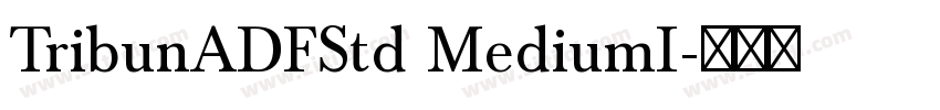 TribunADFStd MediumI字体转换